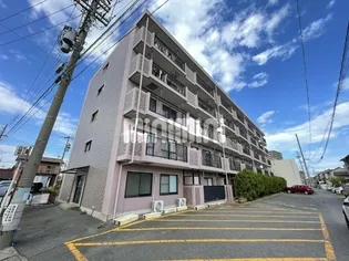 メゾンドアール【5階】の外観