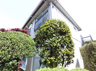 若林荘【1階】の外観