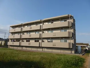 パルディスの画像