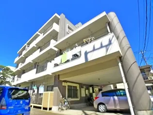 ニューパピヨンの画像