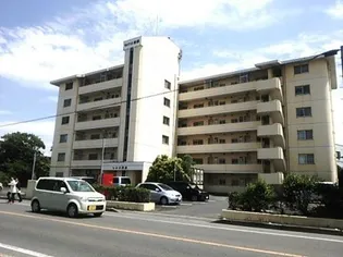 レシオ苅原の画像