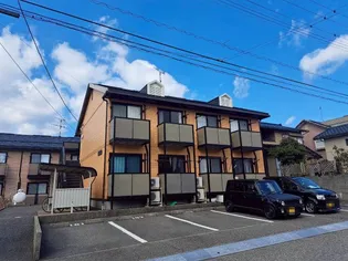 アムール陽光の画像