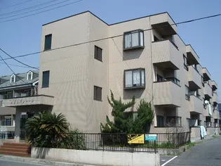 メゾンパレドールの画像