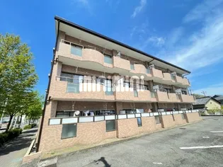 トレンディイマ1の画像
