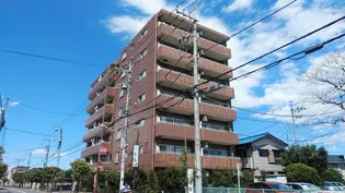 フリーダム梅の木の画像