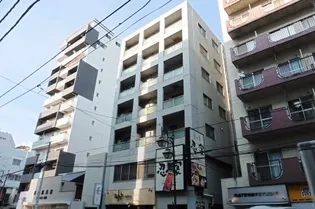 ラ セネシオの画像