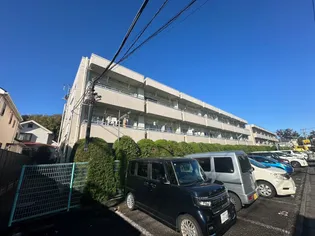 ピアレックスホンダの画像