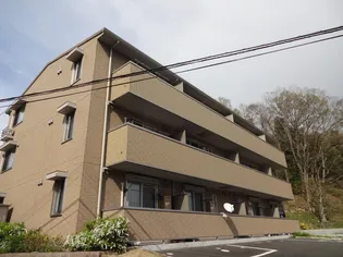 LILA高次の画像