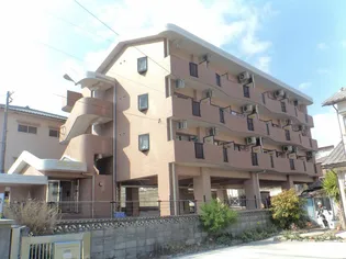 グランビルタツカワの画像