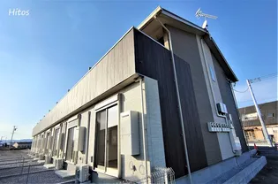 Lupinus(ルピナス)の外観