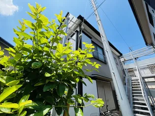 マルヨシコーポ22の画像