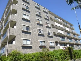 ドルフソニアドーロ【6階】の外観