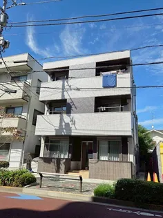 カーサリリーの画像