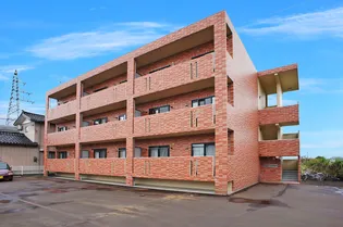 スカイワンの画像