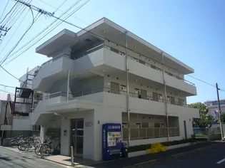 ホワイトプラナスの画像