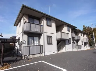 アネックスBの画像