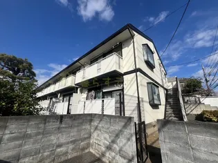 フラット サンフラワーの画像