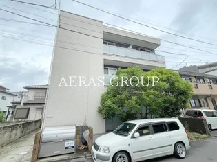 APEXシフォンの画像