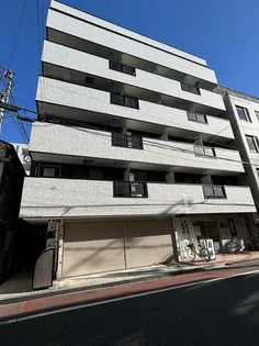 レッドウィングの画像