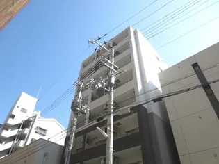 キューブリックコートの画像