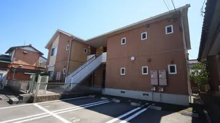 レインボウの画像