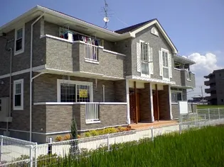 プラシード Bの画像