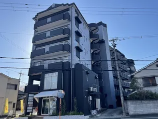 ノアズ アークの画像