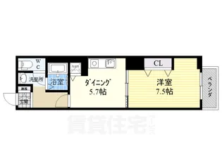 ドムス・ドイ【6階】の間取り