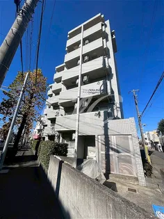オリーブフォレストの画像