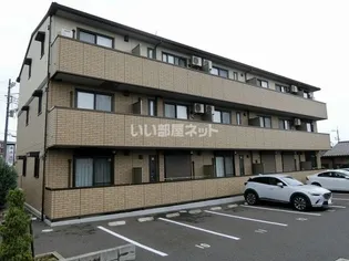 スターブルの画像