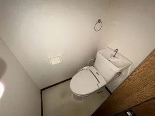 藤ハイツ A【1階】の内装