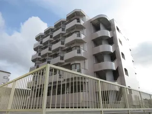 石橋マンション【5階】の外観