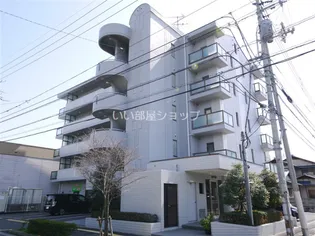 スカイハイの画像