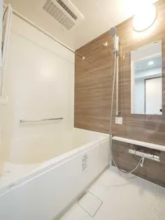 レアライズ浅草IV【10階】の風呂