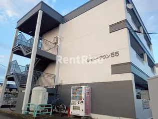 シャトータウン55【2階】の外観