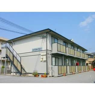 ハイツネイヴァーの画像