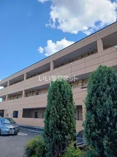 セレニティーの画像