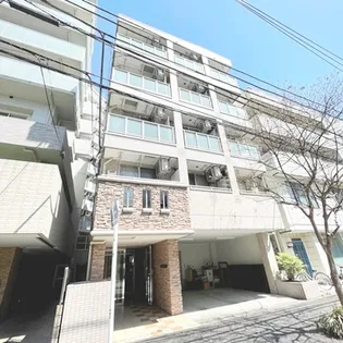 マルジュマチトリの画像