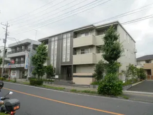 グラシアの画像