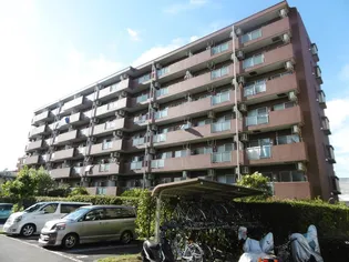 ノーサイドの画像