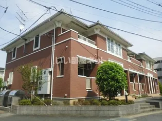 ロワゾーブルーBの画像