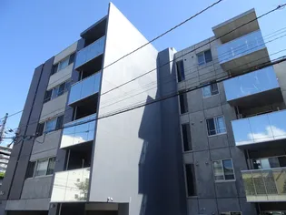 MーSELECTION STELLAIIの画像