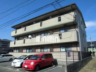 アムールの画像