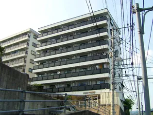 コージーコート【2階】の外観