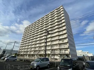 ベルフラワー八軒の画像