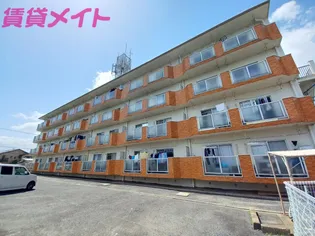 GRATO SUZUKAの画像