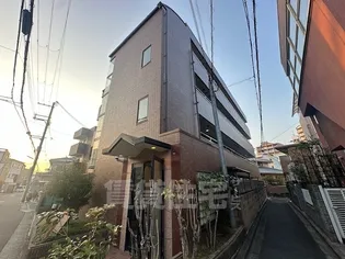 リトゥール中百舌鳥の画像