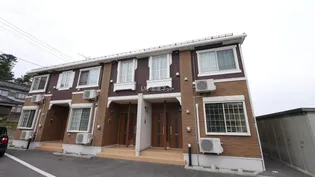 シュガー ドルチェの画像