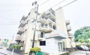 パテラ鶴川【3階】の外観
