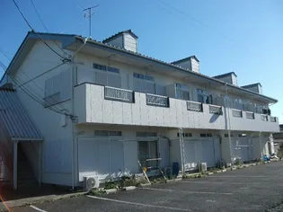 金子ハイツ【1階】の外観